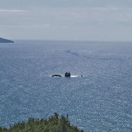 Apartamento With Pool And Sea View - *