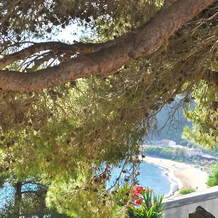 With Pool And Sea View - *